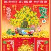 Bìa offset 40x60 Mai Xuân