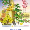 Lịch Treo Tường 7 Tờ BonSai